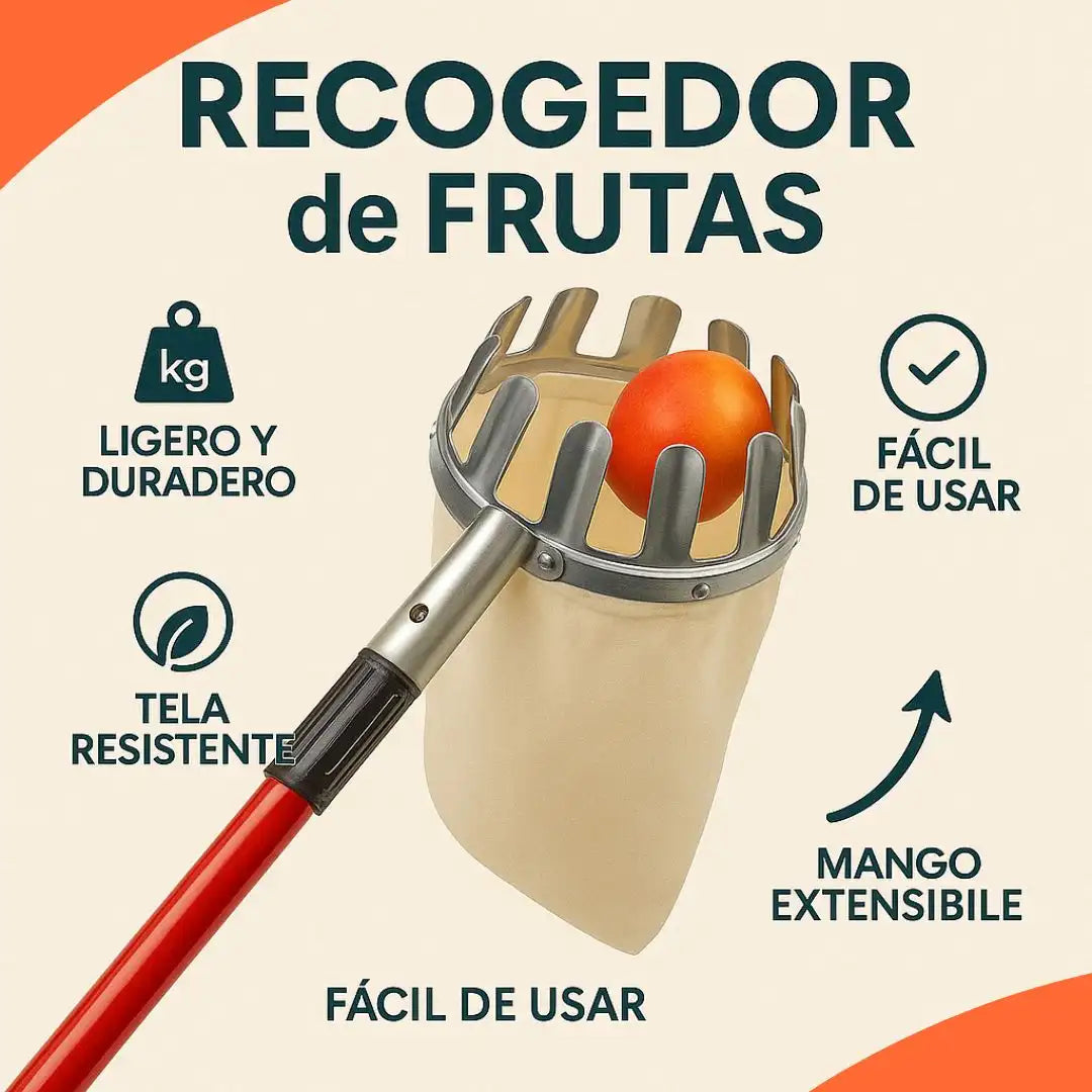 Encabezado