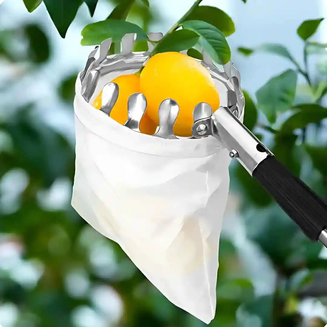 fruit picker - Recolector de fruta profecional