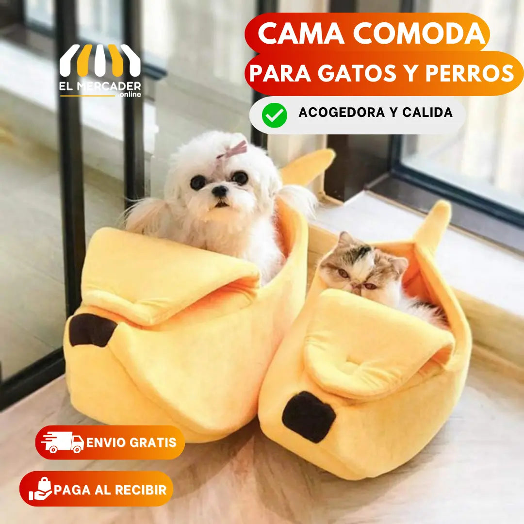 camas para gatos, incluyendo opciones económicas y cama banana para gato