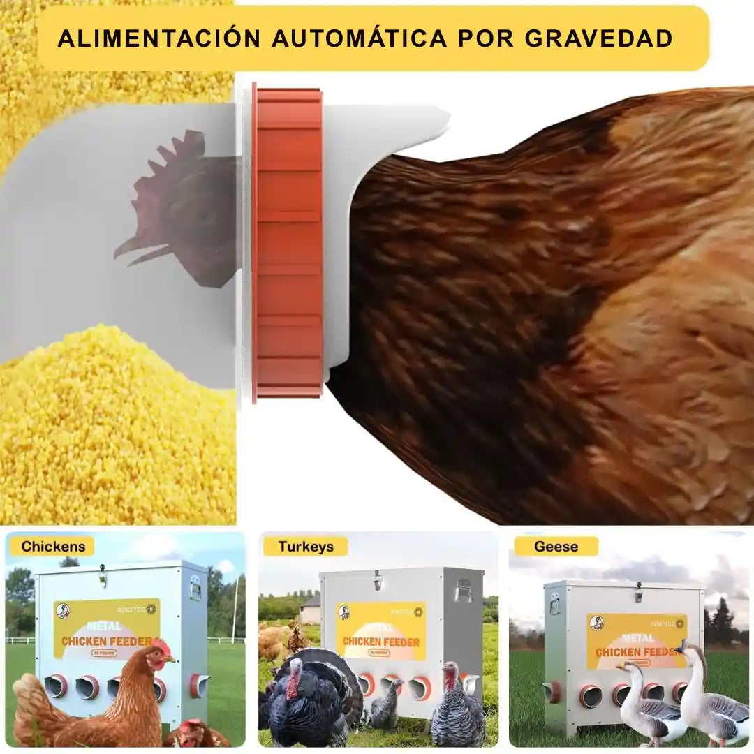AlimentaFácil® (X4 Unidades + Broca) NO Desperdicia Purina y Maiz 🎁HOY 40% DCTO🎁