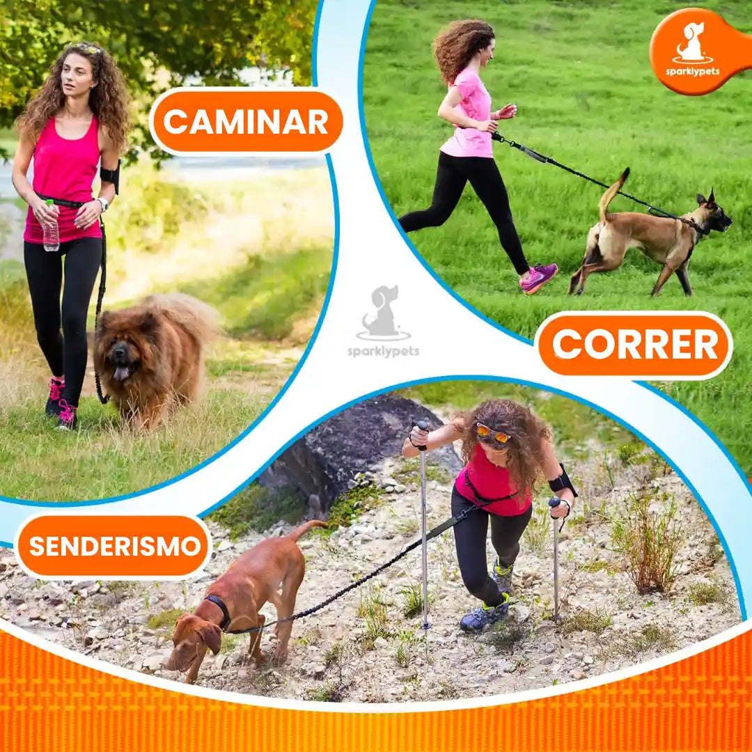DoggyUrban® ¡Pasea a tu perro sin usar las manos 🎁HOY 40% DCTO🎁