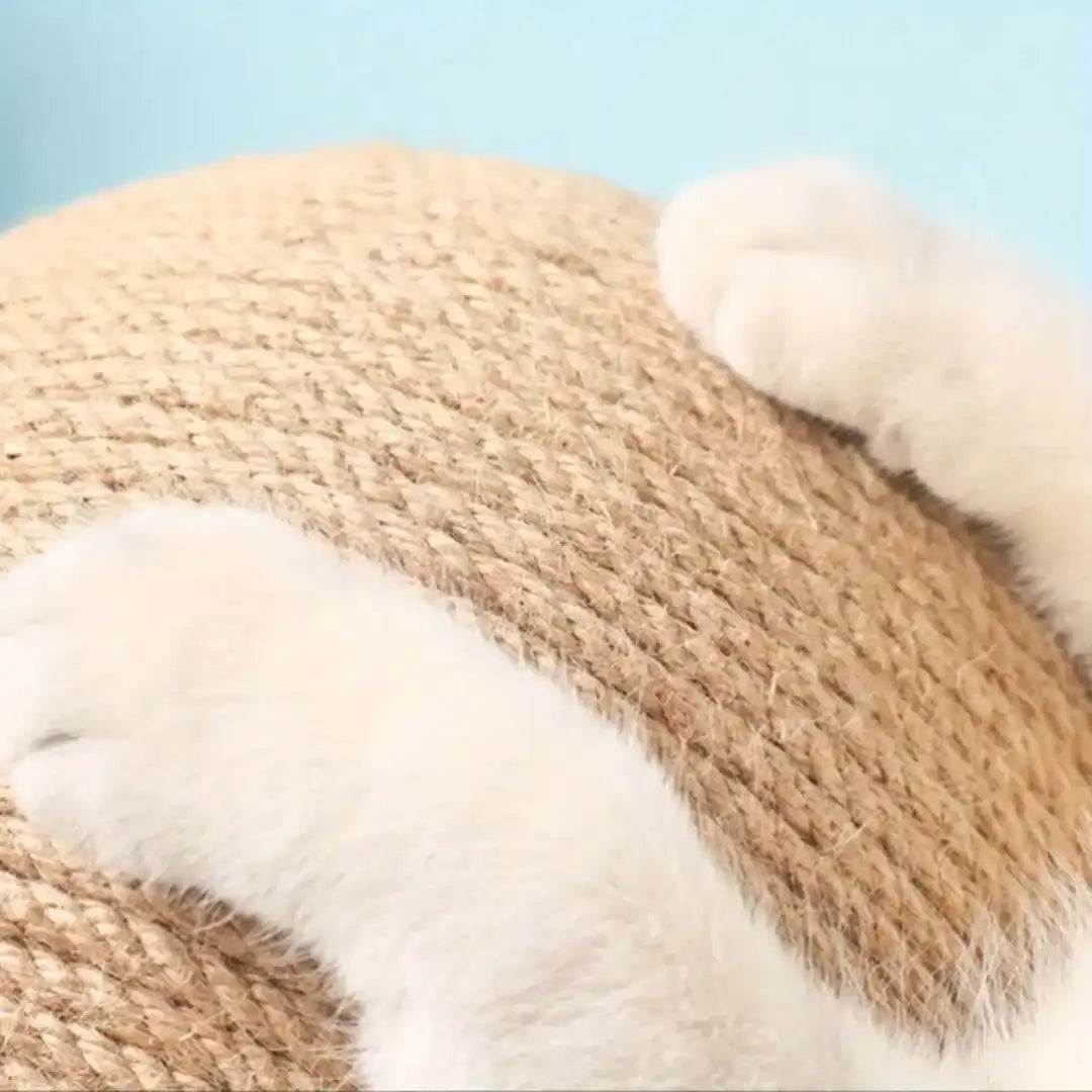 Esfera Felina 🐾🎡