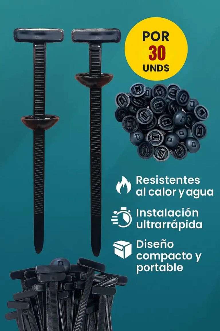 Encabezado