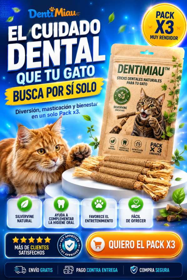 DentiMiau™ | Sticks Naturales para la Masticación y el Entretenimiento de tu Gato