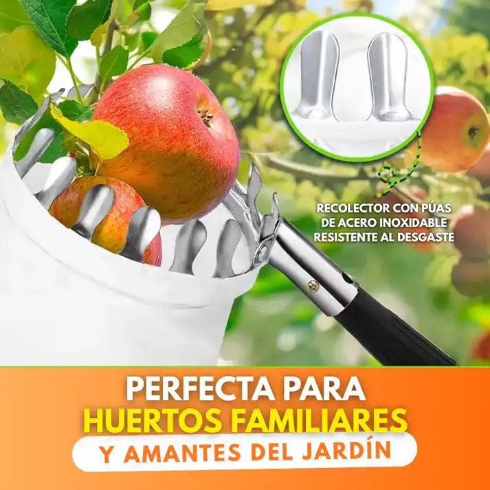 OFERTA 2 X 1 fruit picker - Recolector de fruta profecional