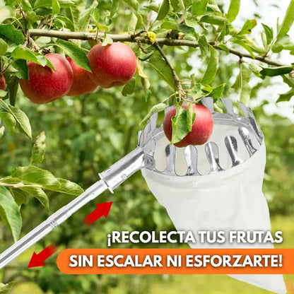 OFERTA 2 X 1 fruit picker - Recolector de fruta profecional