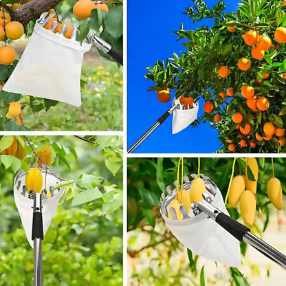 fruit picker - Recolector de fruta profecional