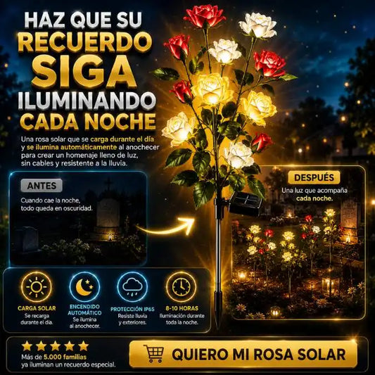 Rosa Solar LED™ 🏡 un homenaje que brilla cada noche