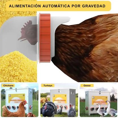 AlimentaFácil® (X4 Unidades + Broca) NO Desperdicia Purina y Maiz 🎁HOY 40% DCTO🎁
