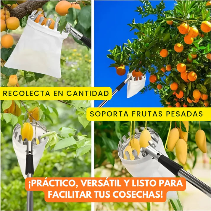 OFERTA 2 X 1 fruit picker - Recolector de fruta profecional